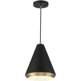 1-Light Pendant