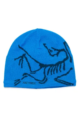 Arc'teryx Bird Head Toque Beanie - Fluidity