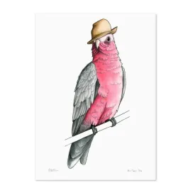 Birds In Hats Print - Galah in a Trilby A4